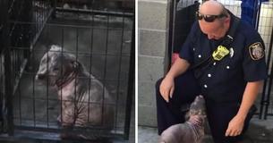 Sick Abandoned Puppy Overjoyed When Firefighter Who Rescued Her Comes To Visit