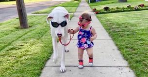 Little Girl And Her Deaf Rescue Dog Share Caring Bond