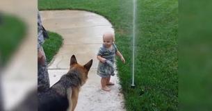 Toddler Adorably Helps German Shepherd Get Over Its Fear Of Sprinkler
