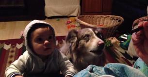 Dog Says 'Mama' After Mom Incentivizes Baby To Say It