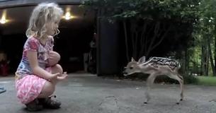 Une jeune fille devient une adorable "chuchoteuse de cerfs"