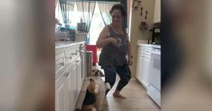 Une grand-mère commence à danser et Beagle se joint à elle de façon amusante