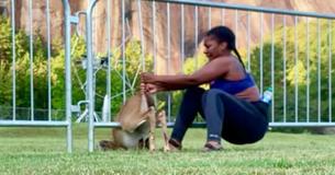 Heroic Woman Busts Out Stuck Baby Deer From Two Different Fences