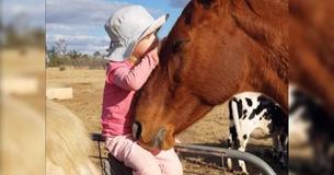 Schattige peuter zingt voor gigantisch paard, paard wordt onmiddellijk verliefd