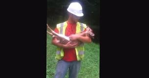Un bébé cerf en danger proteste à chaque fois que son sauveur essaye de partir