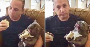 Adorable Clip Of Man And Dog Savoring Burritos