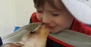 Shy Child Gains Confidence From Befriending Rescued Joey