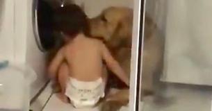 Toddler Offers Love And Compassion To Frightened Dog As They Wait Out The Thunder