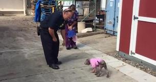 Pooch Is Reunited With Firefighter That Rescued Her From Abuse