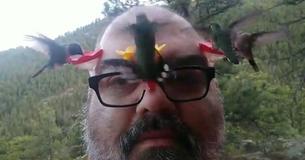 Man Attaches Mini Hummingbird Feeders To His Glasses