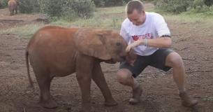 Baby Elephant Starts Adorable 'Attack' On Reporter