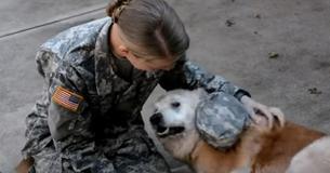 Une chienne âgée pleure quand elle remarque le retour du soldat