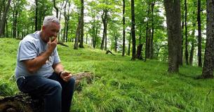 Un homme assis seul dans une forêt se retrouve soudain entouré de visiteurs inattendus