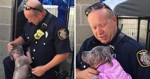 Sick Stray Pooch Reunites With First Responder That Rescued Her