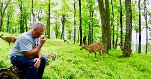 Man Bites Into An Apple In The Woods, Unassuming For Deer To Bring Her Fawn Over For A Munch