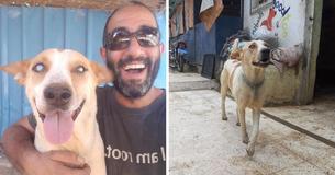 Any Time Lovable Blind Shelter Dog Hears Best Friend's Voice He Consistently Runs To Him