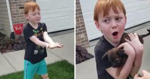 Boy Moved To Tears As He Was Surprised With A Dog After Saving Up For Months To Buy One