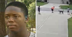 Un jeune adolescent courageux sauve un enfant d'un pit-bull sauvage et un témoin a capturé la vidéo