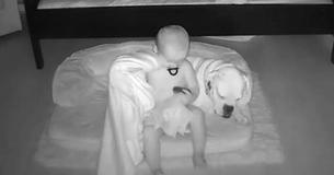 Camera filmt stiekem een klein tweejarig kind dat uit bed sluipt om met zijn hond te knuffelen