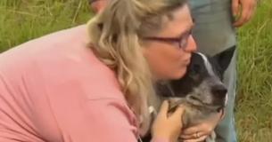 Loyal Senior Dog Stays With 3-Year-Old Girl Lost In The Woods For 15 Hours