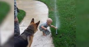 Toddler Helps German Shepherd Overcome His Fears Of The Sprinkler