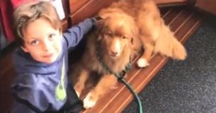 Dog Discovered Swimming Alone In Lake Four Miles Offshore Rescued And Reunited With Owners