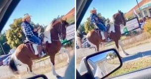 Horse Hears His Favorite Song From Passing Car Causing Him To Break Out Moves