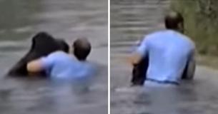 Zoo Workers Refuse To Rescue Drowning Chimpanzee — Visitor Leaps Into Water And Rescues Him