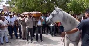 Trauriges Pferd steht am Sarg des Besitzers und wiehert nach ihm