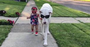 Toddler Has Adorable Friendship With Deaf Great Dane Who Was Rescued From Heartless Owner