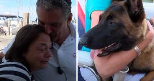 Un chien nage pendant plus de 6 km et marche sur plus de 12 km pour retrouver sa famille après être tombé par-dessus bord