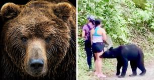 Bold Hiker Has Nerves Of Steel, Takes A Selfie With A Black Bear