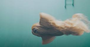 Puzzling Long-Haired Creature Gliding Smoothly Underwater