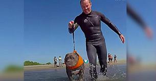 Saved From A Life Of Dogfighting, Deaf Rescue Pit Bull Tastes Freedom As He Hops On A Surfboard