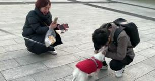 After A Year Separated A Dog And Her Owner Are Reunited