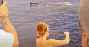 Woman Plays Violin — Whales Come Out Of Ocean To Listen