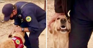 Kerith The Dog Is Bringing Joy To California Firefighters Battling The Wildfires