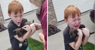 Boy Breaks Down As His Parents Gift New Puppy