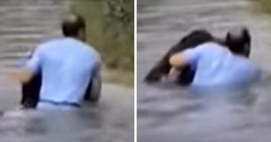 Zoo Refuses To Help Drowning Chimpanzee, So Man Climbs Over Enclosure To Rescue Him Himself