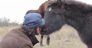 Un vétérinaire a libéré un cheval enchaîné. Il ne s'attendait pas à recevoir les remerciements de toute une vie