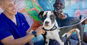 California Vet Treats Pets Of The Homeless Free Of Charge