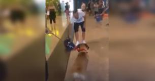 De hond staat stil en staart naar zijn eigenaar die hij al drie jaar niet heeft gezien - het resultaat is van onschatbare waarde