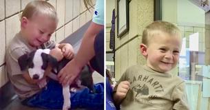 Boy, 2, With Cleft Lip Adopts Adorable Rescue Puppy With Matching Condition