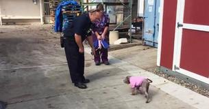 Puppy Reunites With Firefighter Who Rescued Her From Mistreatment
