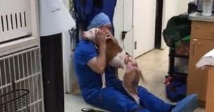 Homeless Dog Enthusiastically Thanks Vet For Saving His Life