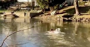 Daring Rescuer Dives Into Frozen Lake To Help Stranded Cat