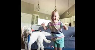 Dog Filled With Pride As Sister Walks For The First Time