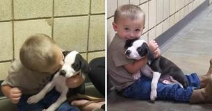 Sweet Little Boy With Cleft Lip Finds Perfect Puppy At Shelter Who Also Has Cleft Lip