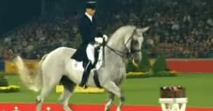 Un cheval commence à trotter puis fait fondre les cœurs en effectuant une chorégraphie sur une musique