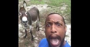 Donkey Joins Man Belting Out 'Circle Of Life' From Lion King Movie
